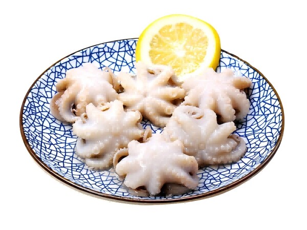 Little Octopus
