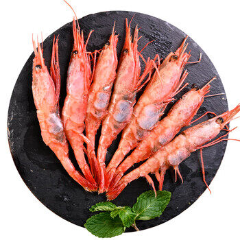 Arctic Shrimp