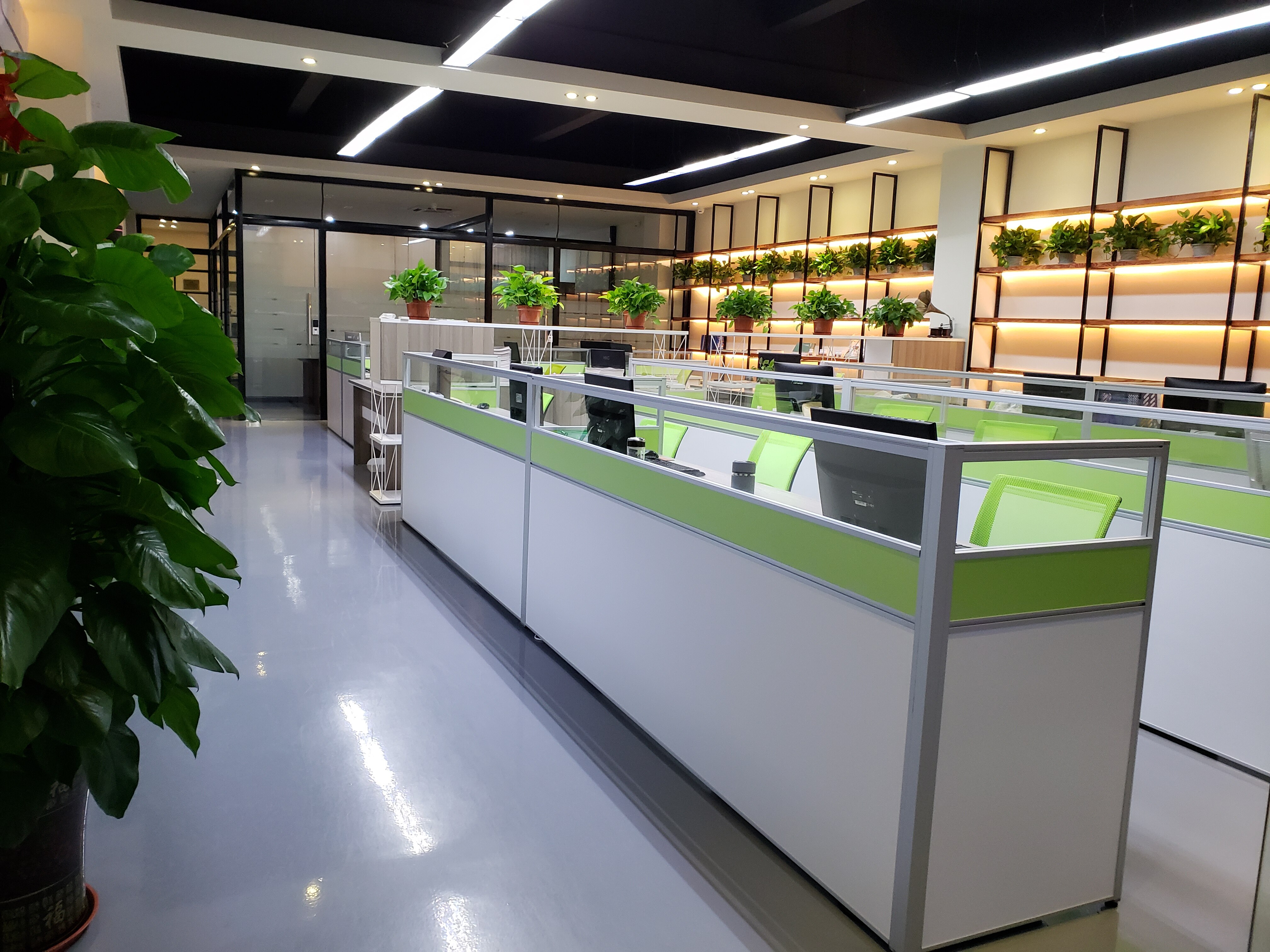 Zhenyang Seafood Team