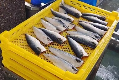 How to identify high-quality frozen seafood