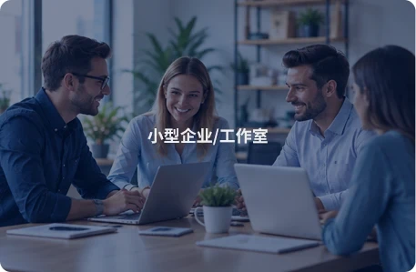 小型企业 / 工作室方案