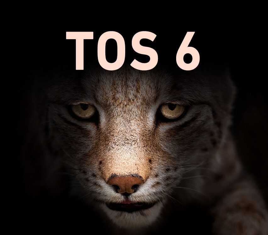 TOS 6.0 系统界面