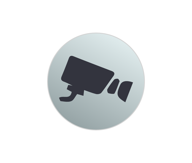 什么是Surveillance Manager ?