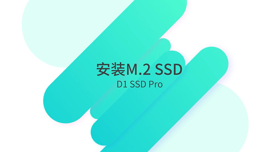 D1 SSD Pro 安装教程