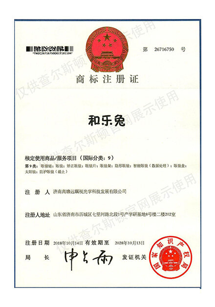 Charleston Product Trademark Certificate 6