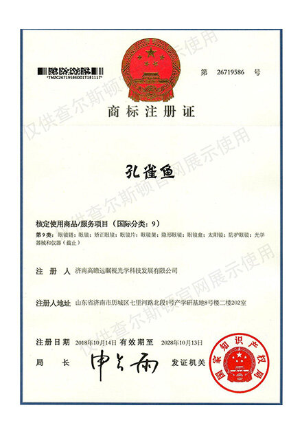 Charleston Product Trademark Certificate 10