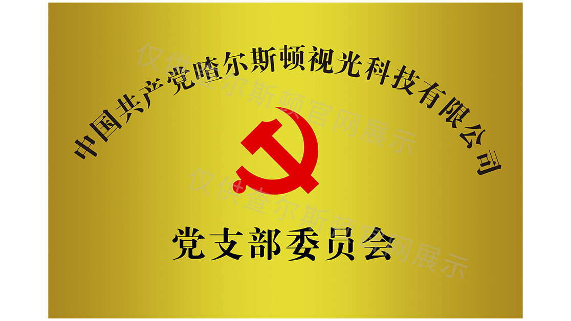查尔斯顿党支部委员会证书