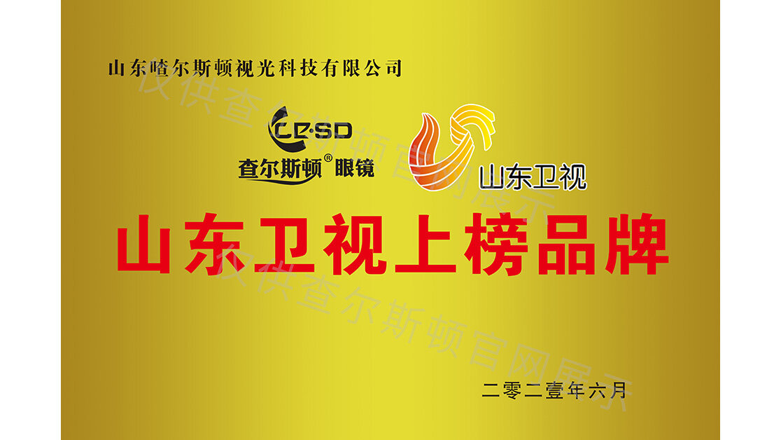 查尔斯顿山东卫视广告投放品牌证书