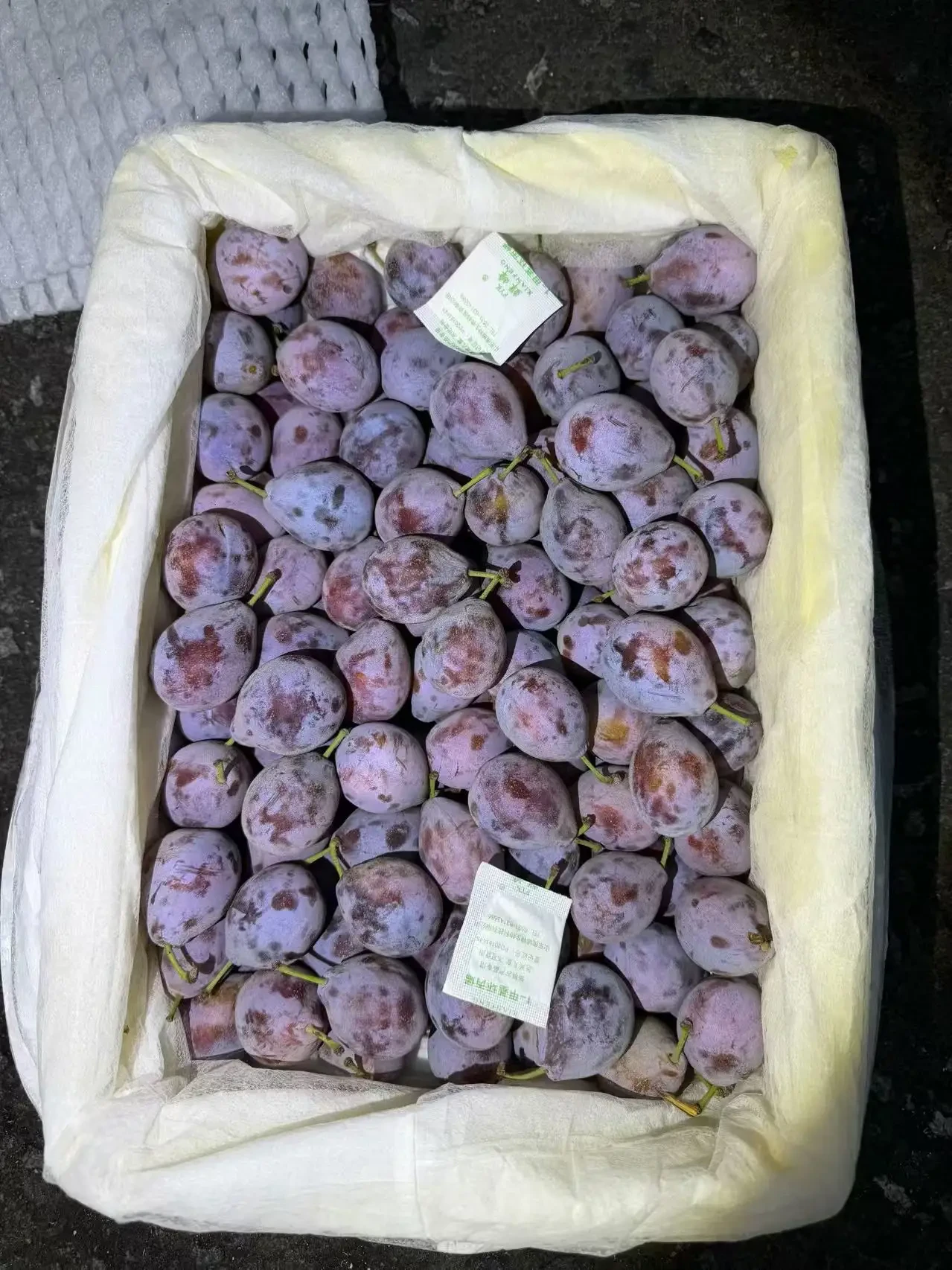 新疆西梅 1
