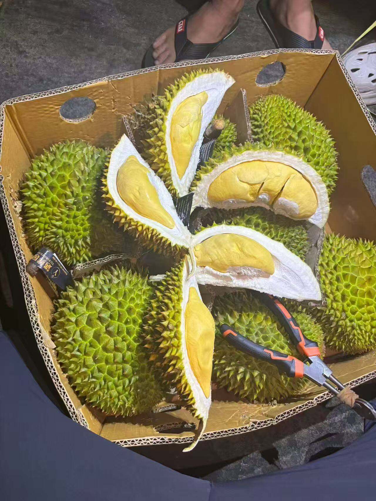 泰国榴莲 1