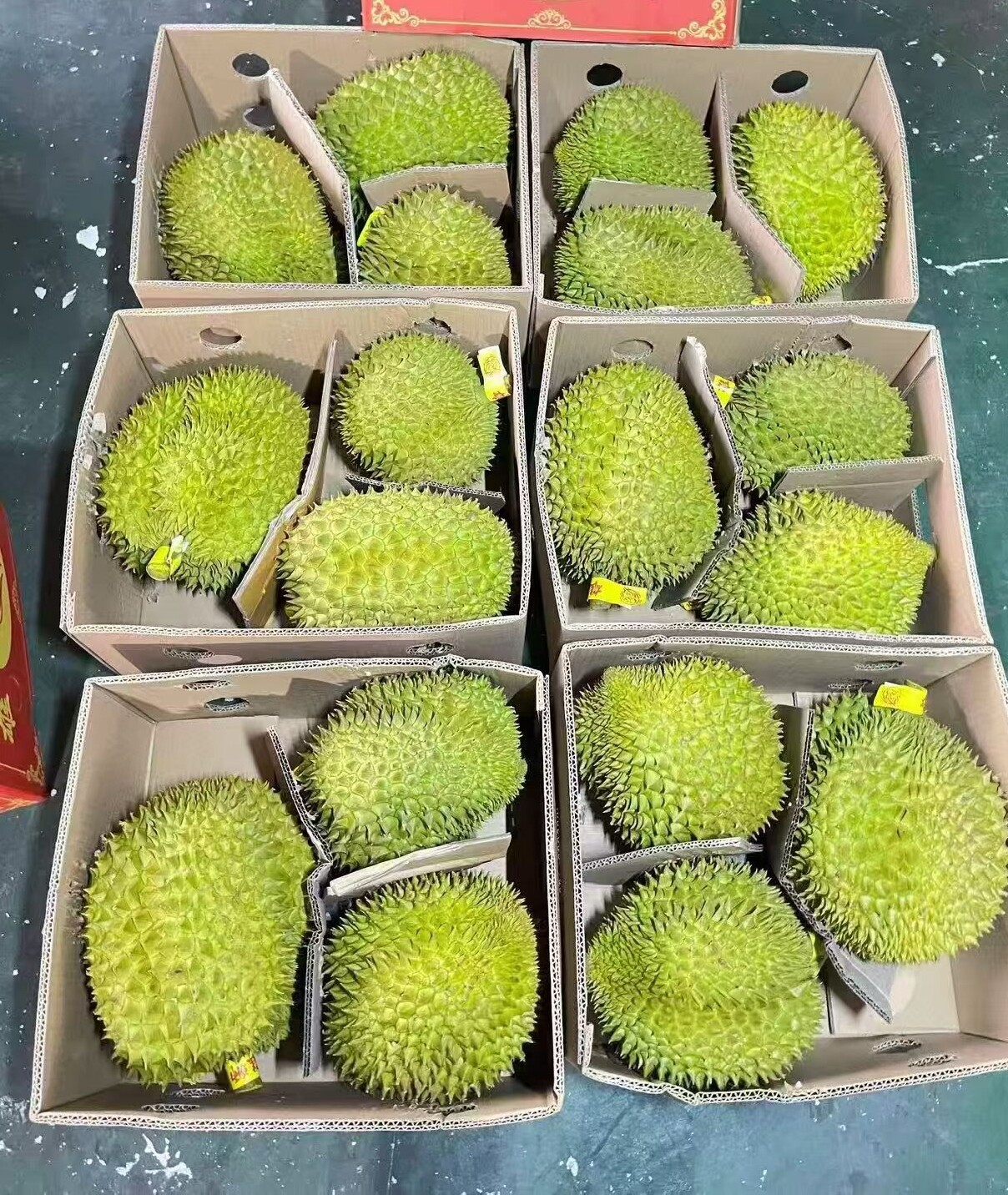 越南榴莲 1