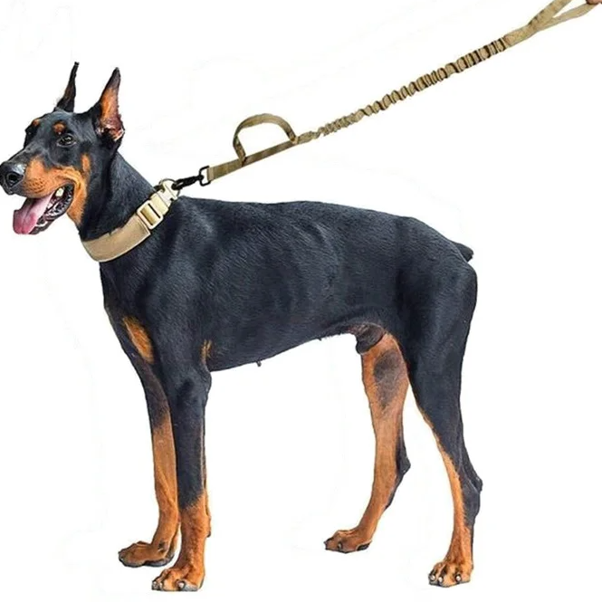 Pet Leash