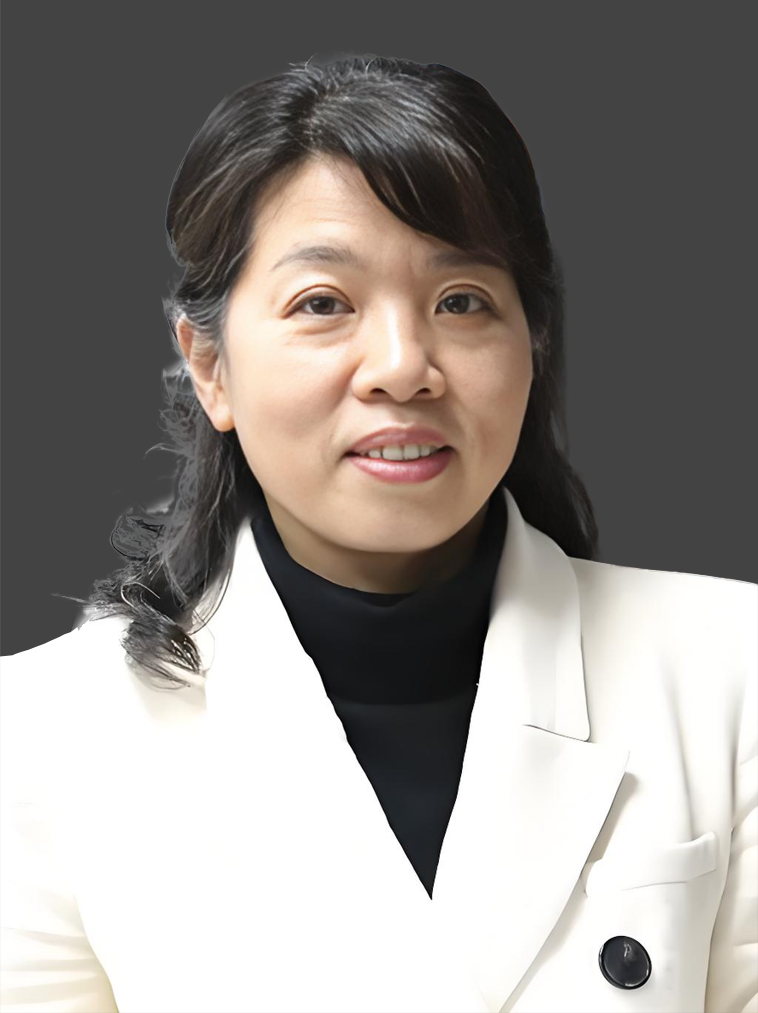 毛红菊