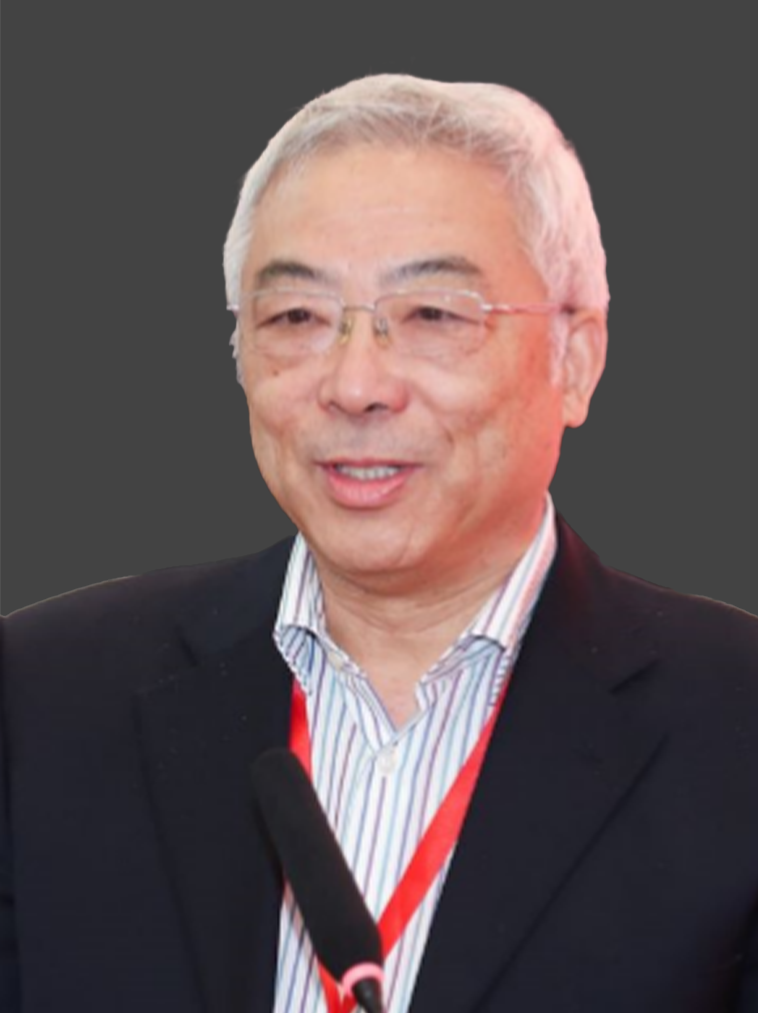 董树沛