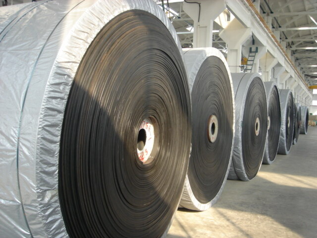 Steel cord conveyor belt