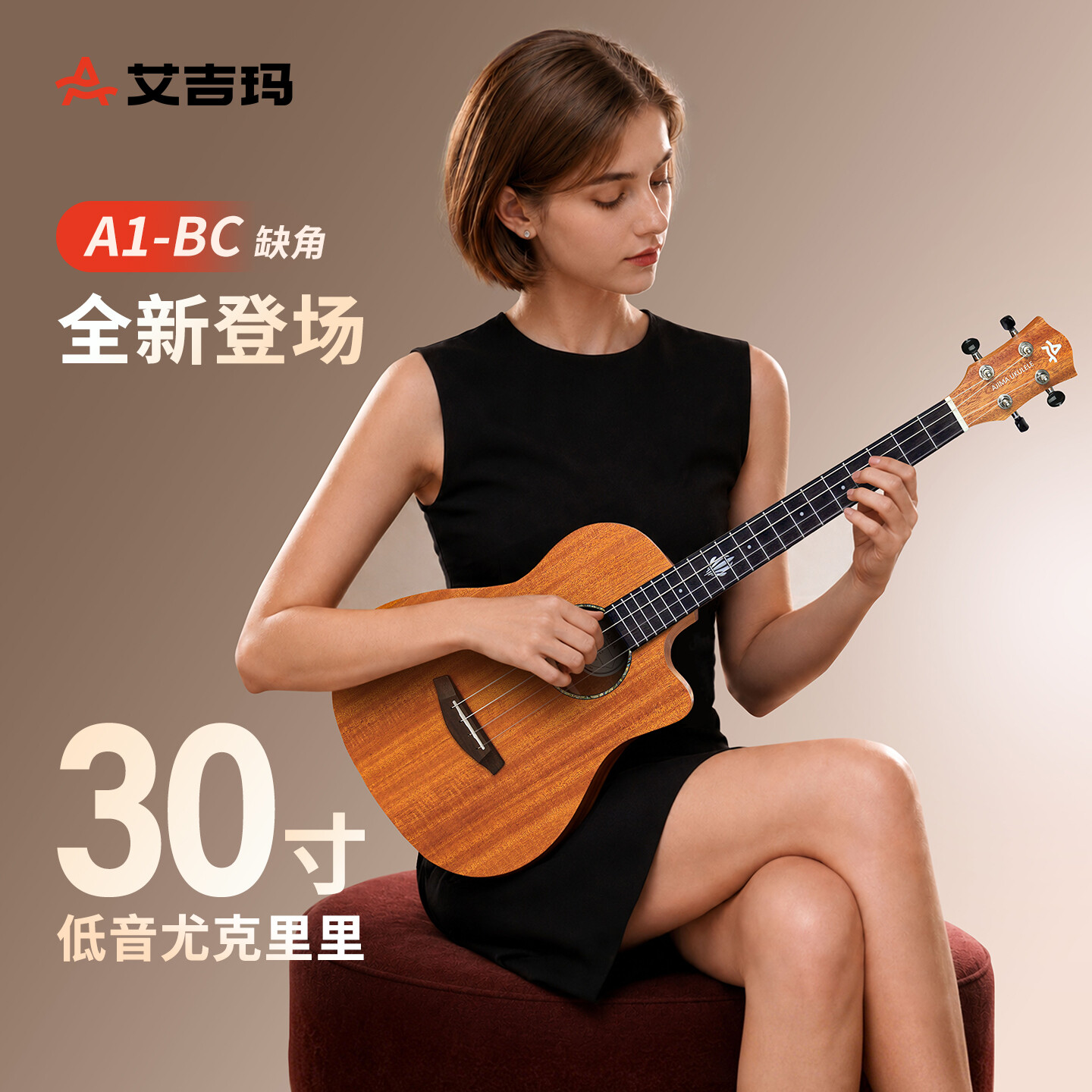 A1 系列