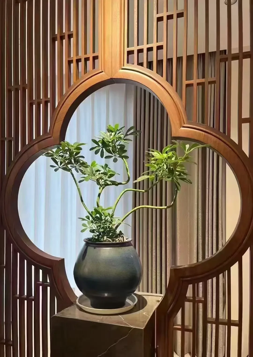 济南客户实木烤漆全屋定制