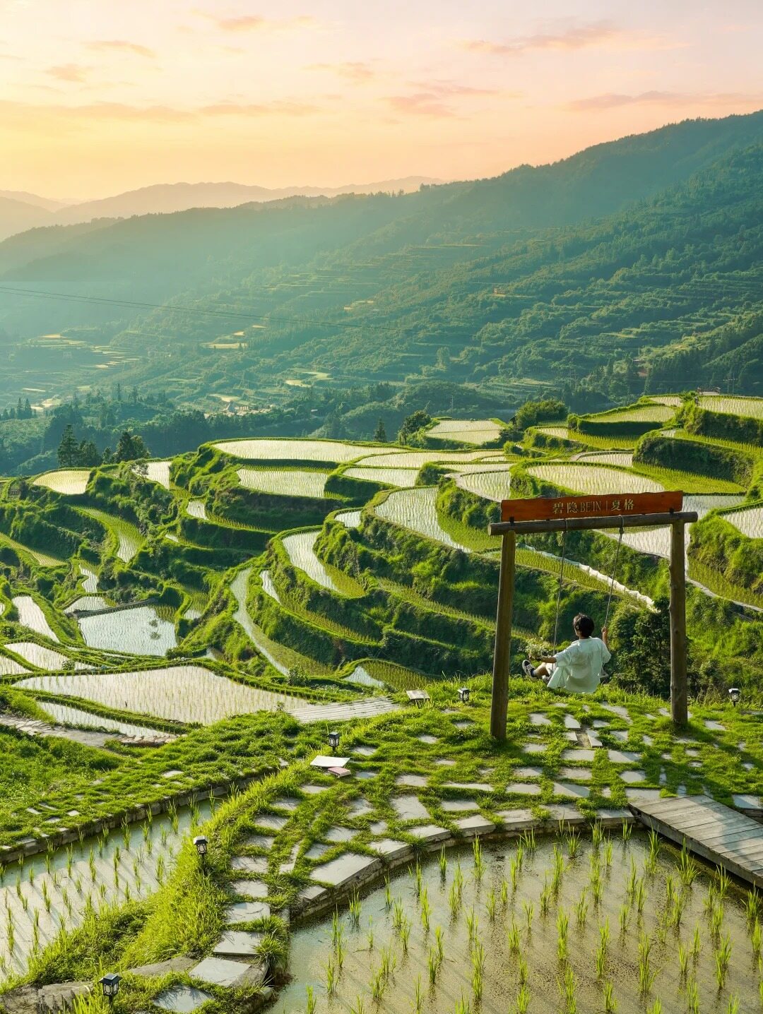 Guizhou Autumn Photography Itinerary: 6 Days to Capture the Best Spots for Ginkgo, Terraced Fields, and Morning Mist