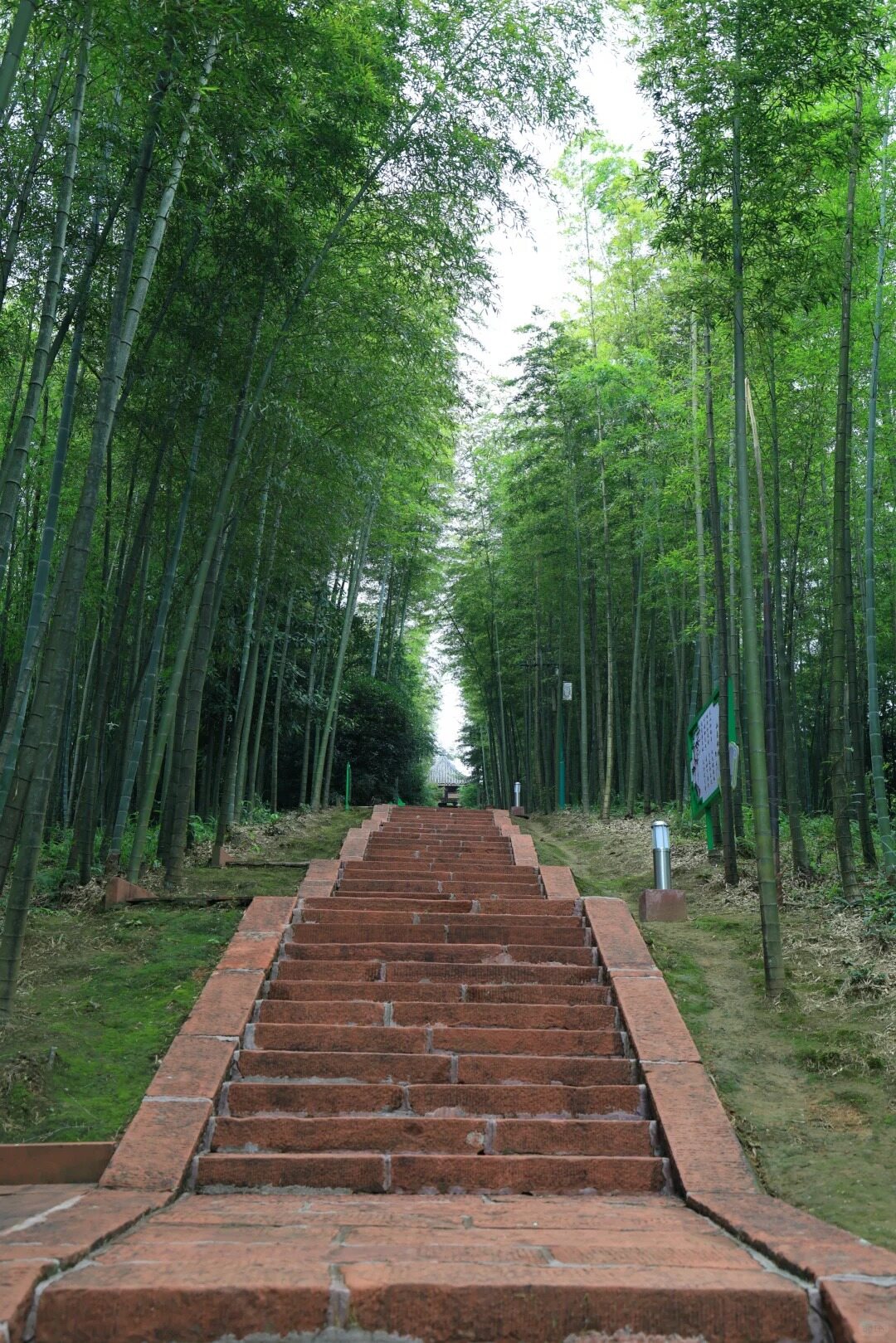 赤水丹霞4天怎么玩:比黄果树更野的瀑布群+竹海+古镇一条线走通
