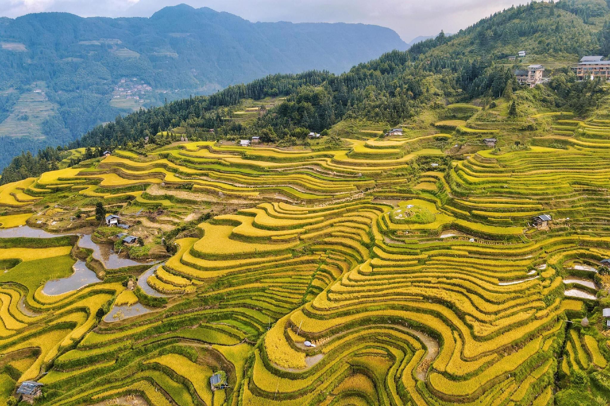 Guizhou + Yunnan 8-Day Combined Tour: How to Seamlessly Connect High-Speed Rail and Private Car for Maximum Time Efficiency
