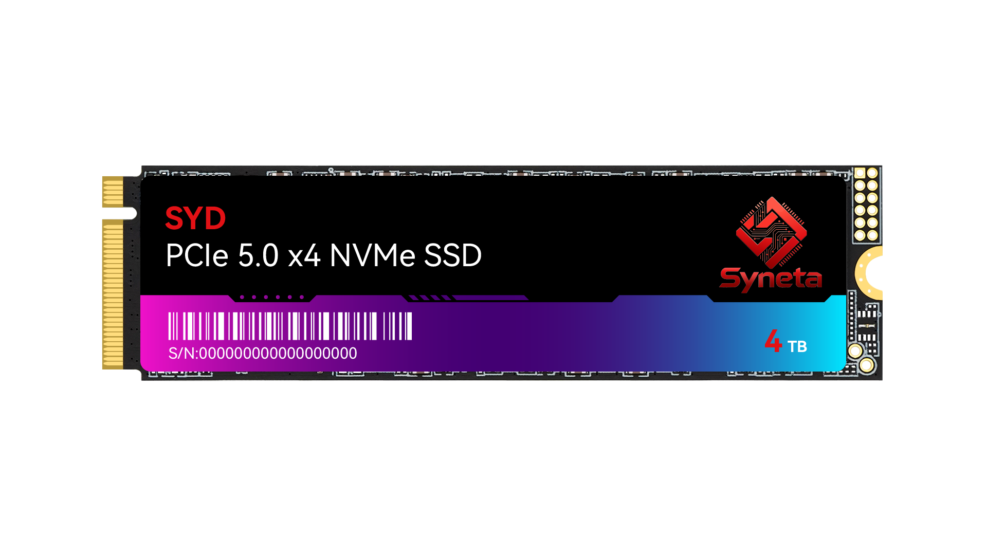 SE-5000 NVMe SSD