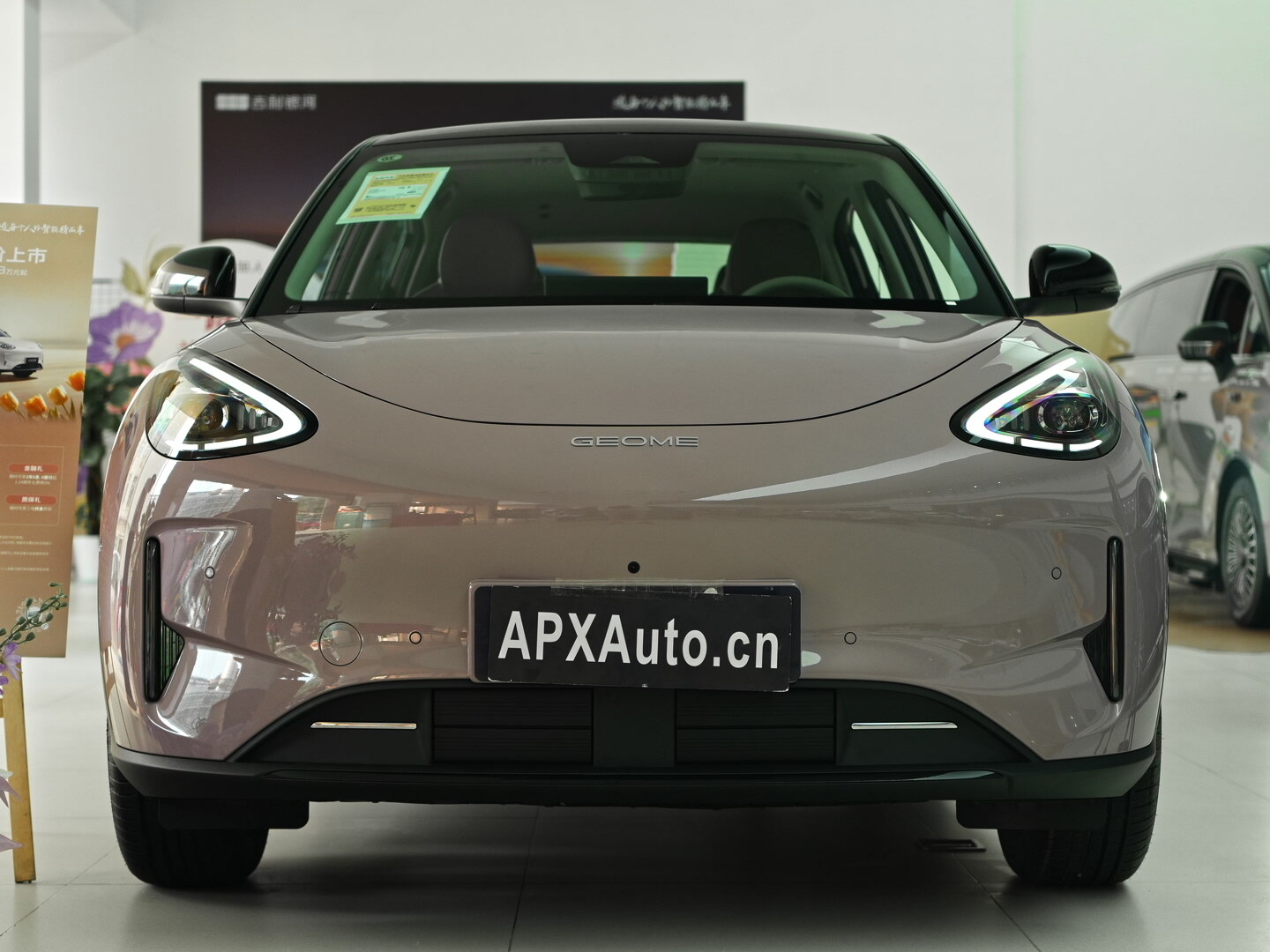 GEELY XINGYUAN EV