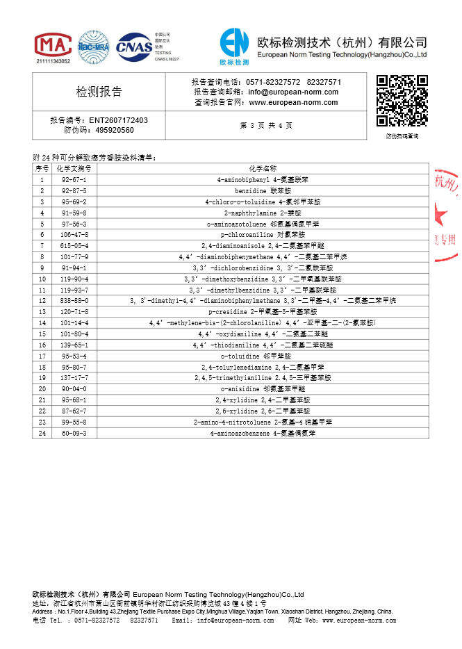 检测报告 - 第 3 页