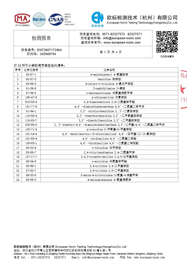 检测报告(迷你小卷)- 第 3 页